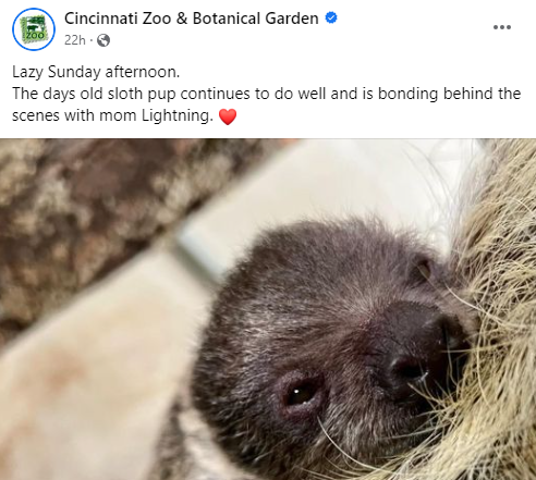 cincinnati-zoo