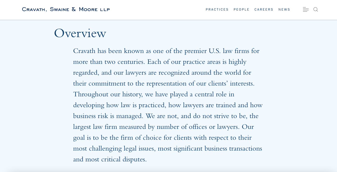 wordpress-branding-overview Law firm overview with professional text and branding.