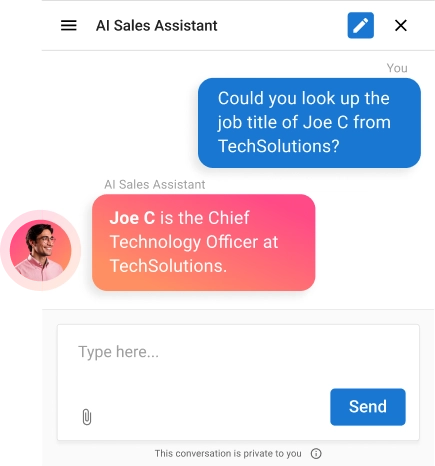 AI-powered enrichment adding context to leads and accounts within franchise marketing tools.